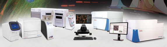 Discover demo options