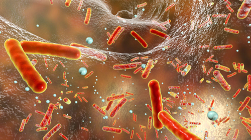 Thermo Fisher Scientific