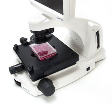 Invitrogen EVOS XL Imaging System