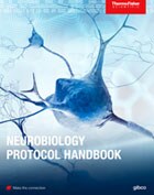 Handbook