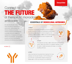 Infographic: The Future of Therapeutic Monoclonal Antibodies