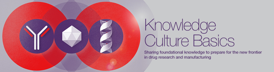 Knowledge Culture Basics