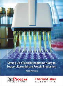 Accelerate Production Time with In-house Mycoplasma Testing for Lot Release