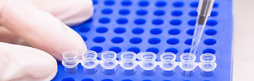 Interactive selection tool for PCR enzymes