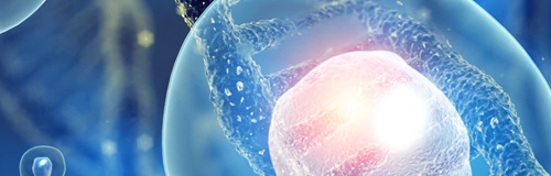 疾患モデリングツール、プロトコル、およびサービス